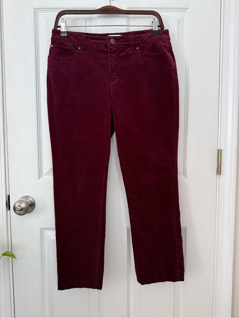 Charter Club Burgundy Corduroy Cropped Straight Leg Pants Petite 8P Fall Autumn